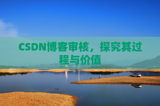 CSDN博客审核，探究其过程与价值